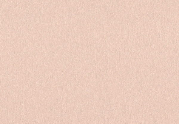 Curious Collection Metallics Nude