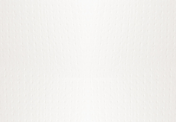 Rives Dot Bright White