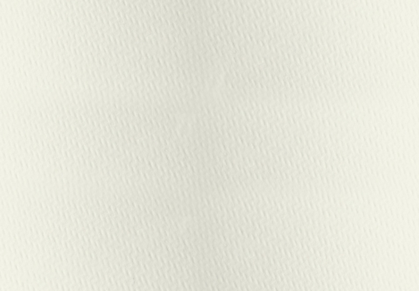 Rives Tweed  Bright White