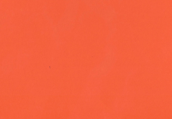 Curious Collection Skin Orange