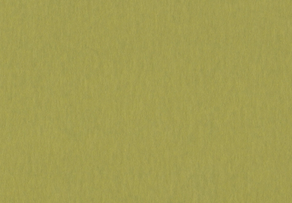 Keaykolour Kiwi