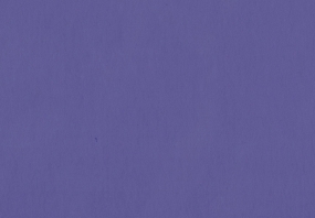 Curious Collection Skin Lavender