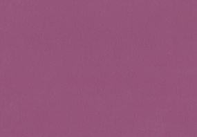 Curious Collection Skin Purple