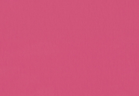 Curious Collection Skin Pink