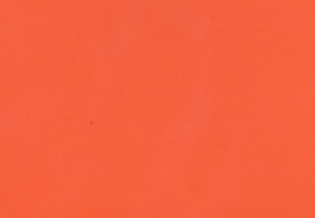 Curious Collection Skin Orange