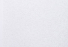 myLeatherlike Classic White