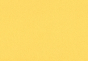 New York Yellow