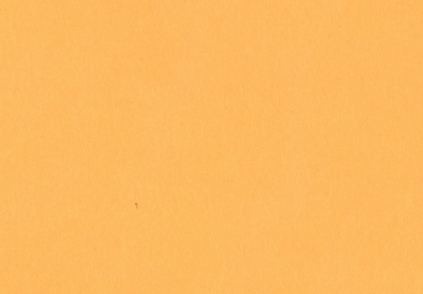 myMalmero Mangue